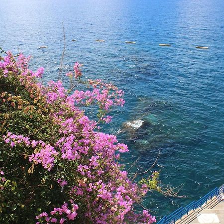 Apartments Madeira Old Town Funchal  Exterior foto